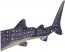 TAKARA TOMY ANIA AL-05 WHALE SHARK (FLOATING VER.)  , TAK37627, by TAKARA TOMY