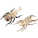 Fujimi Jiyuu Kenkyuu Series No.256 Attack on Titan Edition Beetle & Stag Beetle Solid Titan Specification, FUJ71715, by FUJIMI