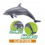 TAKARATOMY Ania AA-02 popular in aquarium Gift set , TAK99971, by TAKARA TOMY