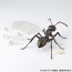 KAIYODO REVO GEO Camponotus japonicus (Black Carpenter Ant) (set of 2), KYD70095, by KAIYODO