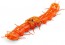 Tamiya Educational Construction Series CENTIPEDE ROBOT (CLEAR ORANGE)  , TAM99285, by TAMIYA