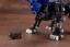 Kotobukiya 1/72 RZ-007 Shield Liger Marking Plus Ver., KBY39111, by KOTOBUKIYA