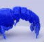Fujimi CREATURE ARC PROCAMBARUS CLARKII (BLUE)  , FUJ70879, by FUJIMI