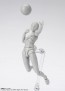 Bandai S.H.Figuarts Body-chan -Sports- Edition DX SET (Gray Color Ver.), BAC49348, by BANDAI