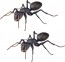 KAIYODO REVO GEO Camponotus japonicus (Black Carpenter Ant) (set of 2), KYD70095, by KAIYODO
