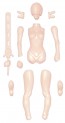 Atelier IT 1/20 Gynoid-01 resin kit, AIT32486, by Atelier IT