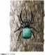 TAKARA TOMY Ania AS-39 Caucasian Longhorned Beetle, TAK10351, by TAKARA TOMY