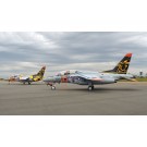 Platz 1/100 Japan Air Self-Defense Force T-4 Air Fest Hamamatsu JASDF 70th Anniversary Painted Aircraft Set of 2, PLZ23241, by PLATZ
