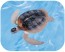 TAKARA TOMY ANIA AS-20 GREEN SEA TURTLE FAMILY (FLOATING VER.)  , TAK37610, by TAKARA TOMY