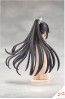 Kotobukiya 1/10 Arrange Wig Hime Cut Pony Tail (Sousai Shojo Teien), KBY69422, by KOTOBUKIYA
