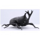 Fujimi Living Thing Arc Japanese Rhinoceros Beetle, FUJ70725, by FUJIMI