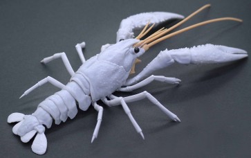 Fujimi CREATURE ARC PROCAMBARUS CLARKII (WHITE)  , FUJ70886, by FUJIMI
