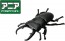 TAKARA TOMY Ania AS-41 Flatback Stag Beetle, TAK10375, by TAKARA TOMY