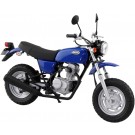 Aoshima 1/12 The Bike No.40 HONDA HC07 APE 100 '06, AOS68830, by AOSHIMA