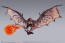 Bandai S.H.MonsterArts Rathalos -20th Anniversary Edition-, BAC62354, by BANDAI