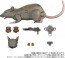 TAKARA TOMY Transformers MPG MPG-15 Cybertron Rattrap, TAK77554, by TAKARA TOMY