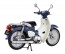 Fujimi 1/12 Fujimi 1/12 Motorcycle Series HONDA SUPER CUB 110 (URBANE DENIM BLUE METALLIC)  , FUJ41794, by FUJIMI