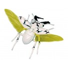 Fujimi Jiyuu Kenkyuu Series No.2201 Ultra Monster Edition Stag Beetle Eleking specification, FUJ71890, by FUJIMI