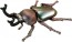 TAKARA TOMY Ania AS-42 Rainbow Stag Beetle, TAK08531, by TAKARA TOMY