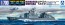 Aoshima 1/700 WL 16 Maritime SDF Missile boat Hayabusa Umitaka plastic kit , AOS48177, by AOSHIMA