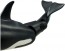 TAKARA TOMY Ania AL-08 Killer Whale Parent And Child (Floating in Water Ver.)  , TAK37634, by TAKARA TOMY