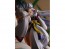 Good Smile Company POP UP PARADE Sesshomaru (Inuyasha) (Rerelease), GSC62131, by GOOD SMILE COMPANY