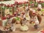 Epoch Sylvanian Families - Dolls: Walnut Squirrel Girl  , EPC57713, by Epoch