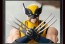 DOYUSYA DOYUSYA BLOKEES - MARVEL CHAMPION CLASS SERIES WOLVERINE, DYS11213, by DOYUSYA