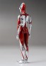 three zero Fig Zero S 6inch Ultraman (Shin Ultraman) (Reissue), THZ25488, by three zero