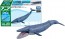 TAKARA TOMY Ania AL-23 Blue whale (Floating Ver.), TAK99684, by TAKARA TOMY