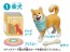 TAKARA TOMY Anni Friends Dog  , TAK36354, by TAKARA TOMY