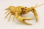 Fujimi Jiyuu Kenkyuu Series No.24 EX-5 Living Things Part Red Swamp Crayfish Special Design (Gold)  , FUJ71081, by FUJIMI