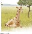 TAKARA TOMY Ania AC-04 Giraffe (Child), TAK05890, by TAKARA TOMY