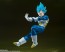 Bandai S.H.Figuarts Super Saiyan God Super Saiyan VEGETA- The Pride of Saiyans, BAC64587, by BANDAI