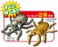 TAKARA TOMY Ania Insect Battle Stage, TAK00566, by TAKARA TOMY