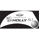 ALEC Shokunin-Katagi Professional Streak Carving Tool HOLLY t0.1, ALC13324, by ALEC