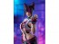 MAX Factory POP UP PARADE Juri (STREET FIGHTER 6), MAX43769, by MAX FACTORY