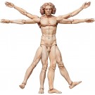 FREEing figma Vitruvian Man (The Table Museum) (Reissue), FRE10434, by FREEING