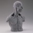 KAIYODO Soft Vinyl "Anatomy Bust"   , KYD00880, by KAIYODO