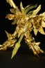 Kotobukiya AMAKUNITECH Genesic GaoGaiGar Gold Ver. (The King of Braves GaoGaiGar FINAL), KBY23149, by KOTOBUKIYA