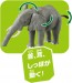 TAKARA TOMY Ania AL-26 African Elephant, TAK19377, by TAKARA TOMY