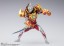 Bandai S.H.Figuarts Solis Armor, BAC66482, by BANDAI