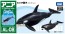 TAKARA TOMY Ania AL-08 Killer Whale Parent And Child (Floating in Water Ver.)  , TAK37634, by TAKARA TOMY