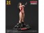 X Plus 1/8 Vampirella Jose Gonzalez Edition Plastic Model Kit, XPL24693, by X Plus