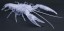 Fujimi LIVING THING ARC PROCAMBARUS CLARKII (CLEAR)  , FUJ71005, by FUJIMI