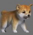 Atelier IT 1/8 Puppy Shiba resin kit figure, AIT31052, by Atelier IT