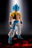 Bandai S.H.FIGUARTS SUPER SAIYAN GOD SUPER SAIYAN GOGETA , BAN54086, by BANDAI