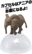 TAKARA TOMY Ania AC-02 Elephant (Child), TAK06125, by TAKARA TOMY