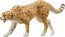 TAKARA TOMY ANIA: AS-13 CHEETAH (WILD VER.)  , TAK39607, by TAKARA TOMY