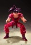 Bandai S.H.FIGUARTS SON GOKU KAIO-KEN (DRAGON BALL Z) , BAN91821, by BANDAI